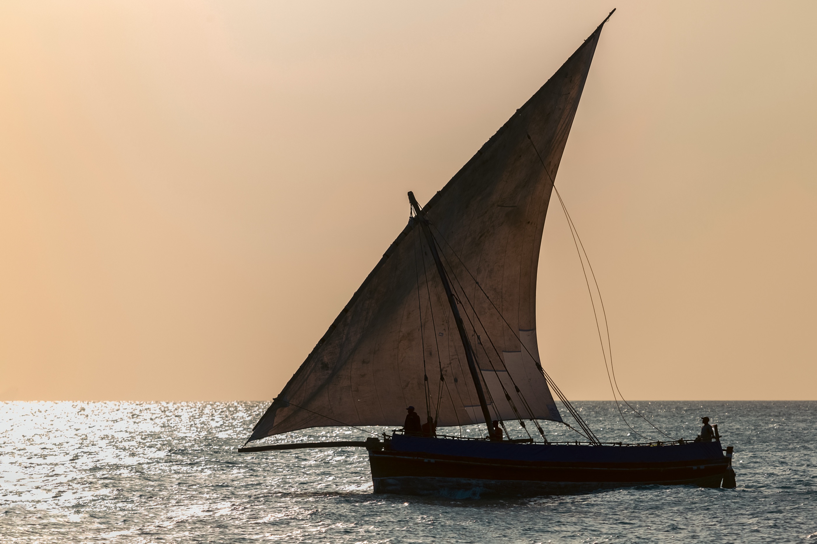 A dhow under sail at sunset